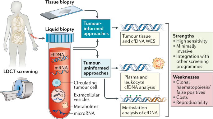 The Rise of Liquid Biopsy Market: Transforming Cancer Screening and Monitoring