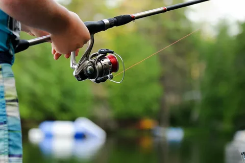 Best Fishing Spinning Reels for Bass: Top Picks for Your Next
