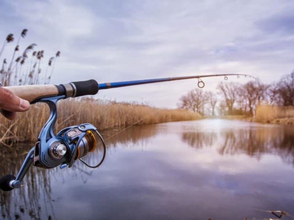 The Best Spinning Fishing Rods: Your Ultimate Guide
