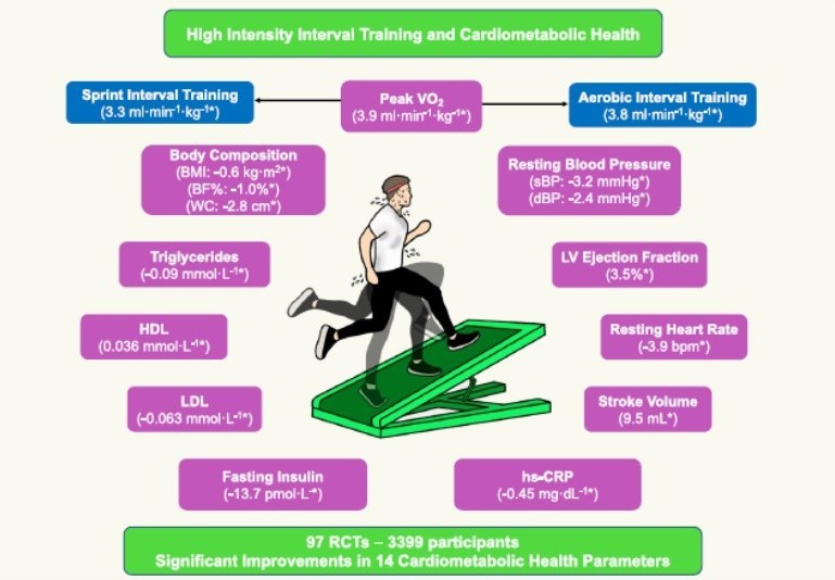 New study provides further evidence for the value of HIIT for improving  cardiometabolic health in the