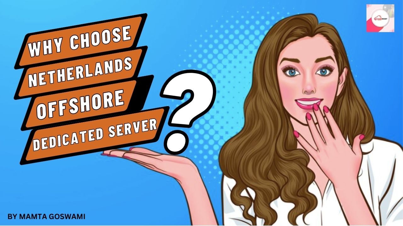Why Choose Netherlands Offshore Dedicated Server is the Ultimate Choice for Your Business