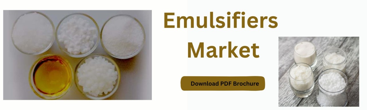 Emulsifiers, Surfactants, Baking Ingredients