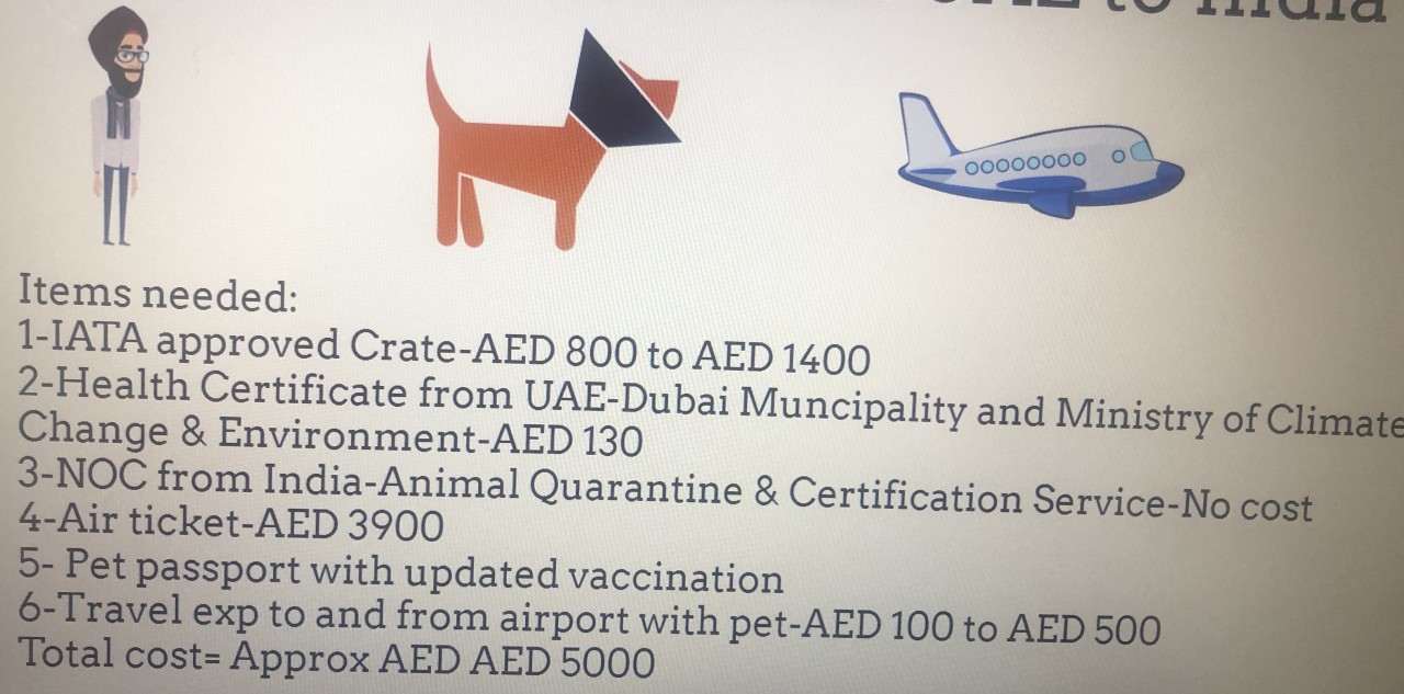 Pet relocation from UAE to India
