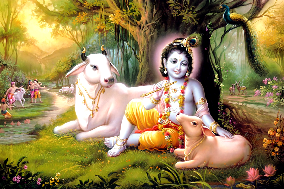 Lord Krishna as a cowherd (Krishna's love for Cows)
