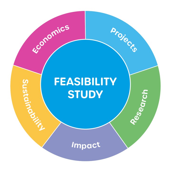Feasibility Study What Why How Who? Feasibility Study What Why How Who?
