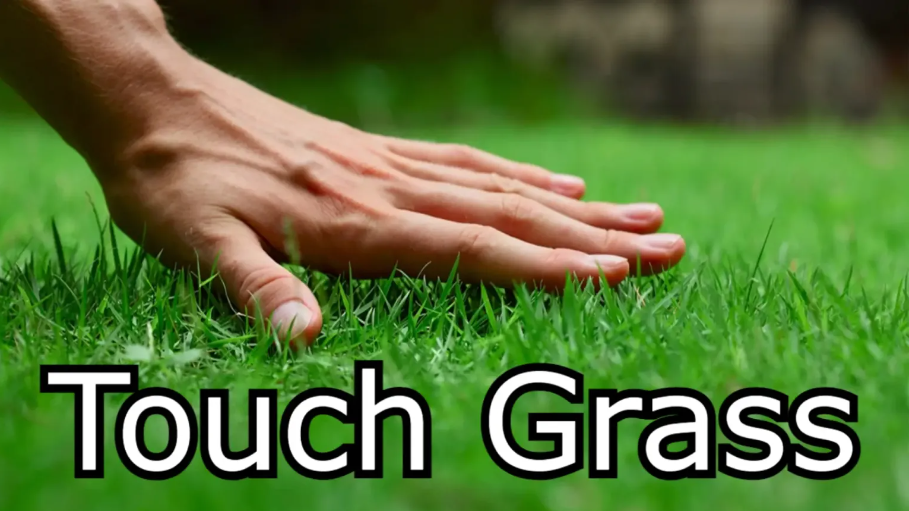 Exploring What Touching Grass is All About