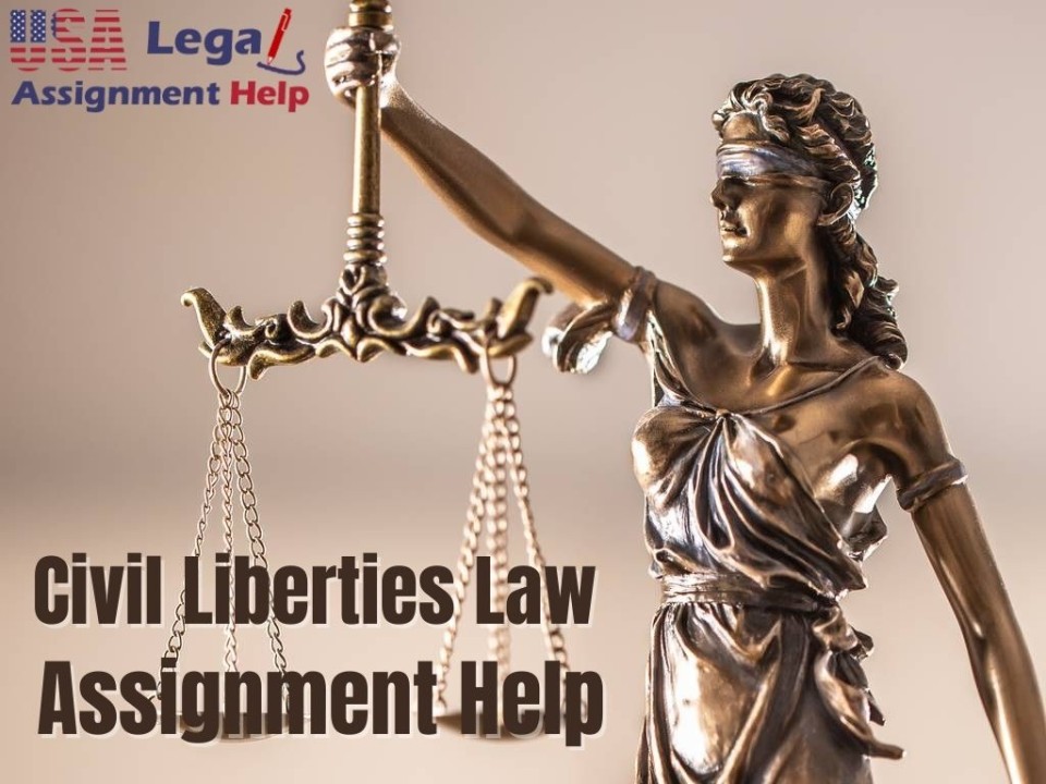 Contact us for assistance with your Civil Liberties Law Assignment