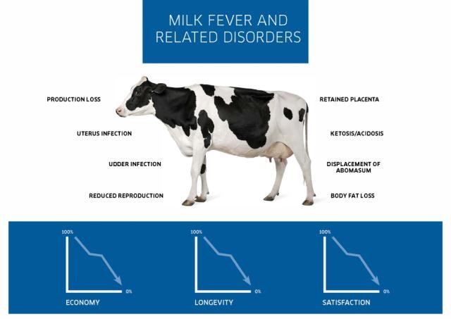 Understanding Milk Fever: Causes, Symptoms, and Treatment