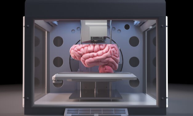 🌎3D Printed Brain Model Market Size, Shaping the Future with Forecasted Growth and Trends for 2023-2030 📈