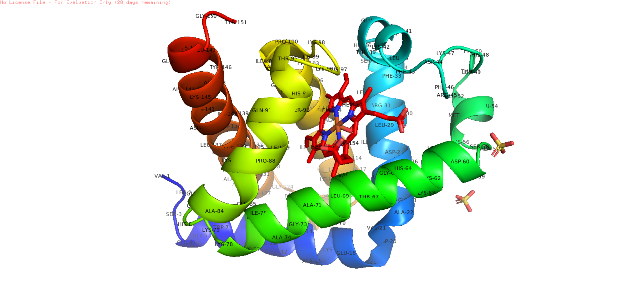 Estrutura das proteínas 
