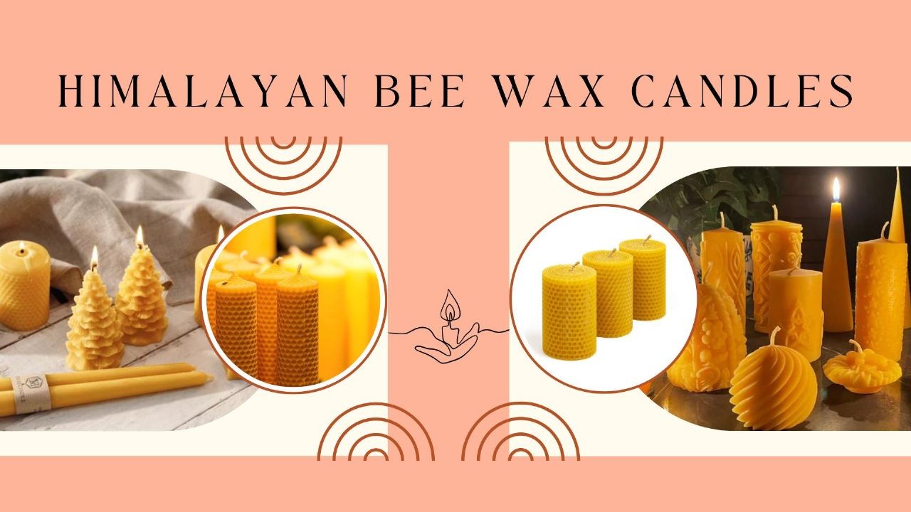 The Enchanting World of Himalayan Bee Wax Candles: Discover the Allure of  Nature's Finest Creations with