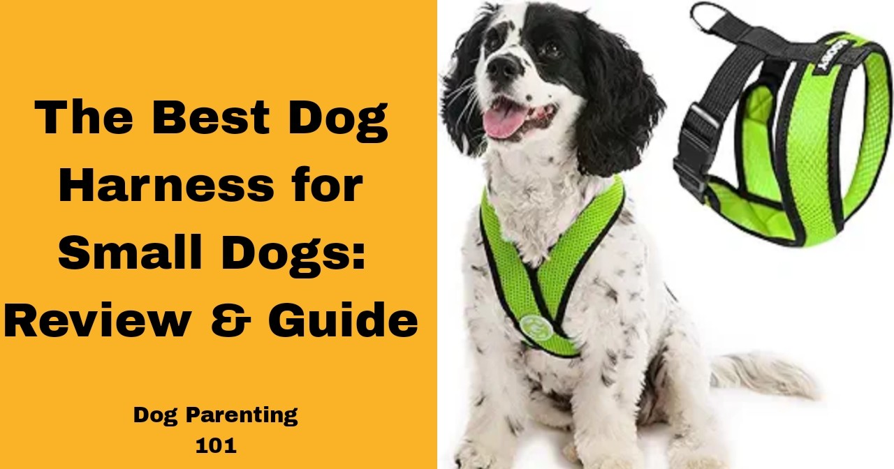 Ultimate Guide: Choosing the Right Dog Harness for Walking