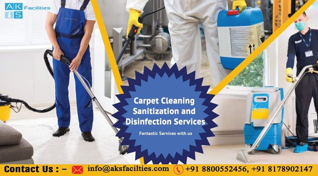 Sofa Carpet Cleaning Services In