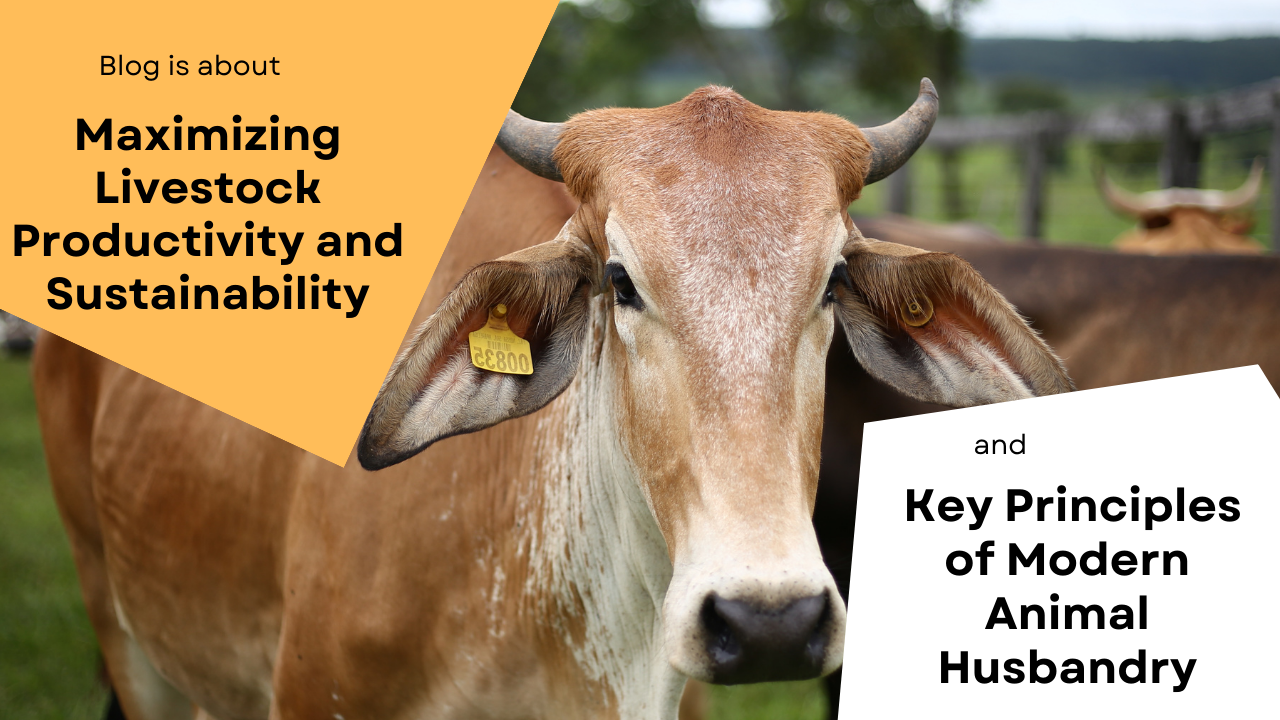 Maximizing Livestock Productivity and Sustainability ✅