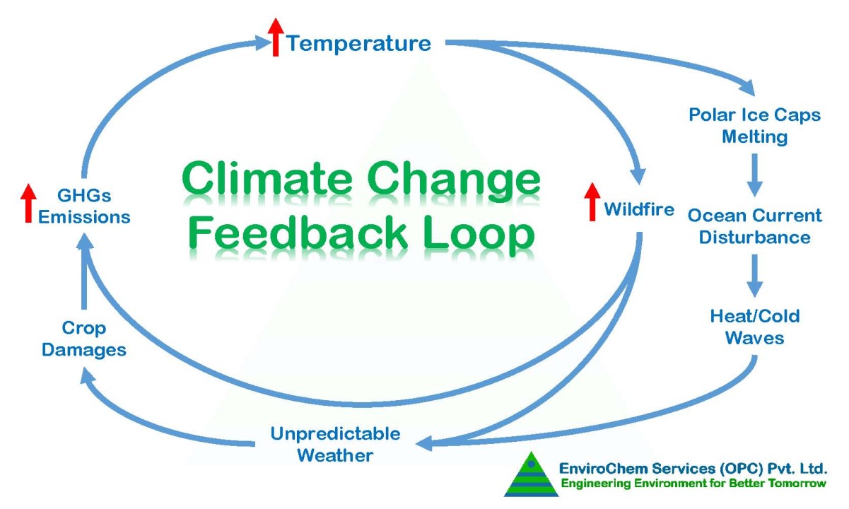 Climate Change Feedback Loop