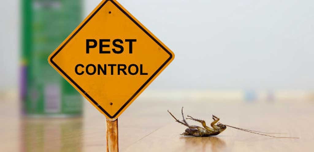Pest control near me