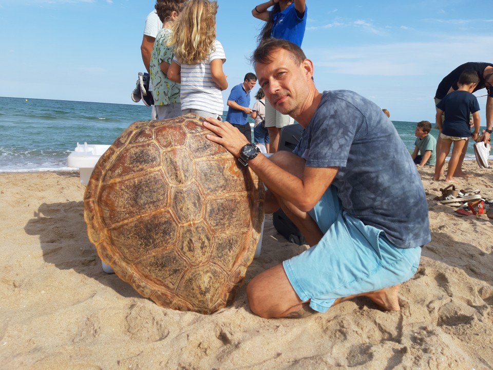 Decompression sickness in turtles Decompression sickness in turtles