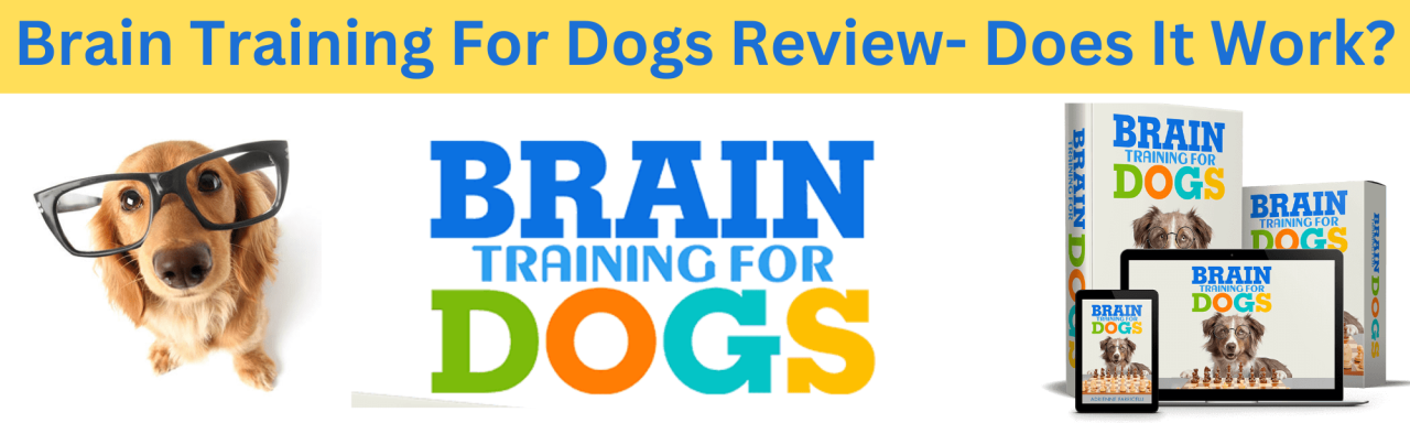 Brain Training for Dogs Review 2023: Does It Work?