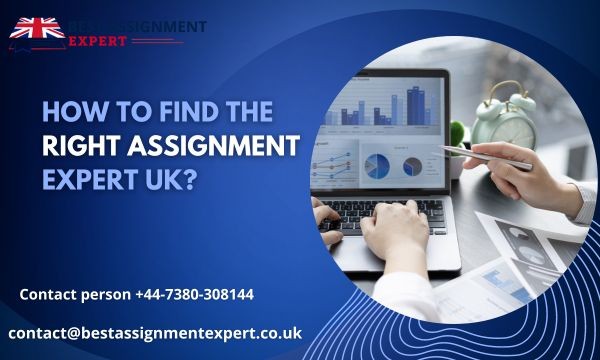 assignment expert uk