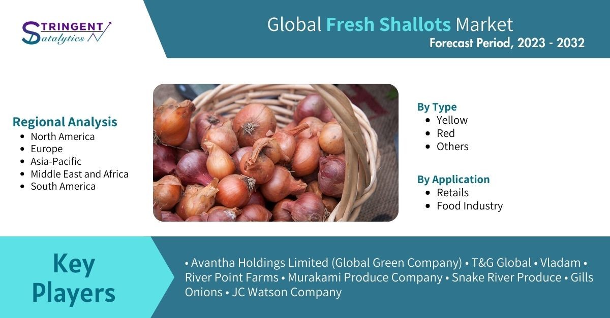 Exploring the Thriving Fresh Shallots Market: Trends, Growth Factors, and  Future Prospects