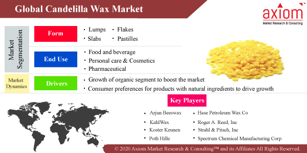 Candelilla Wax Market Competitive Landscape, Growth Factors and Forecast  2019 to 2028
