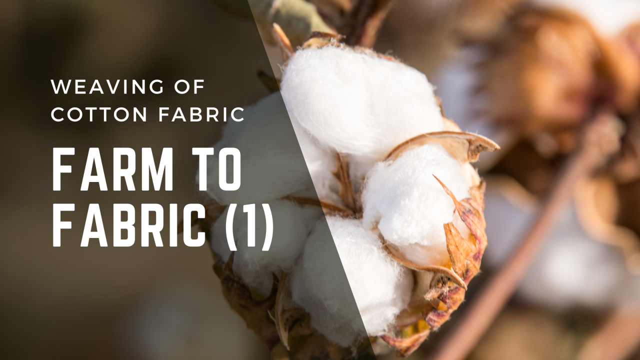 Weaving of Cotton Fabric : Farm to Fabric (1)
