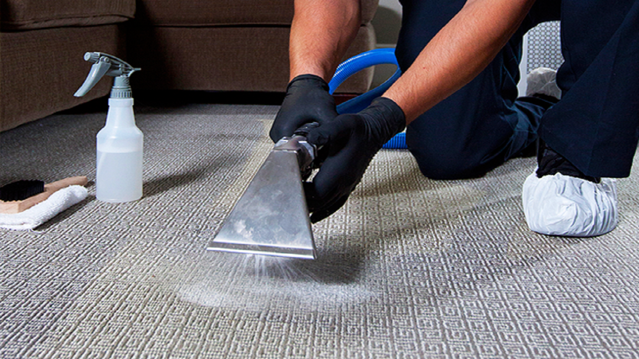 Carpet Deep Cleaning