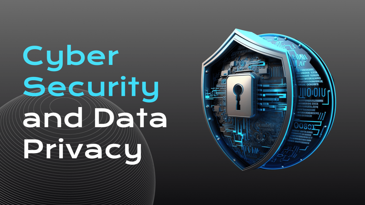 The Role of Data Privacy in Cyber Security