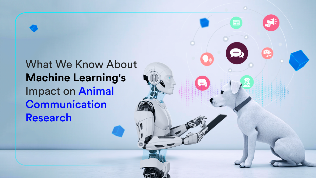 What We Know About Machine Learning's Impact on Animal Communication Research