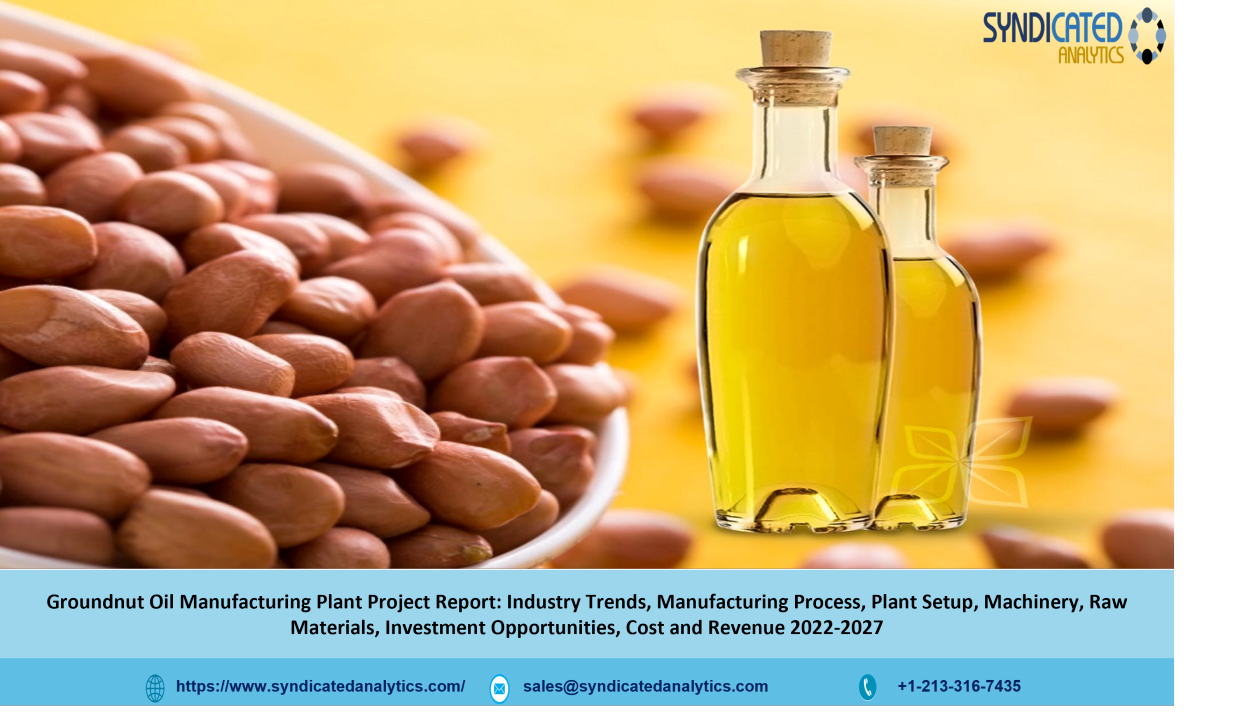 groundnut oil business plan pdf