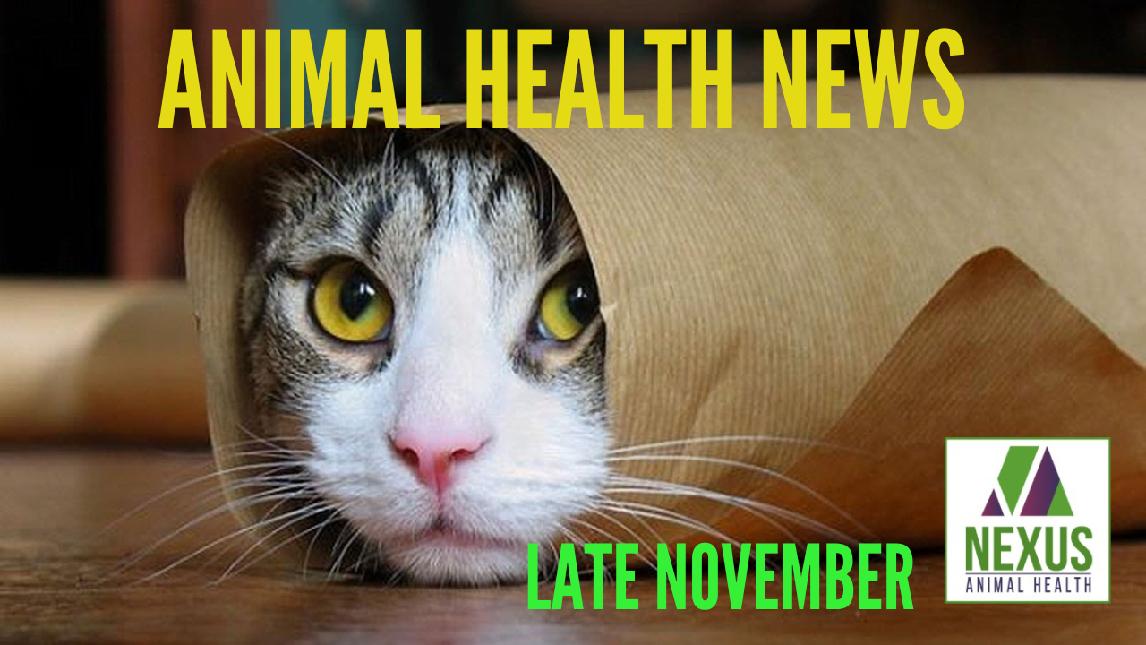 ANIMAL HEALTH NEWS-Late November