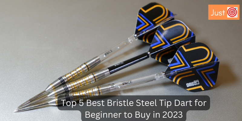 Top 5 Best Bristle Steel Tip Dart for Beginner to Buy in 2023