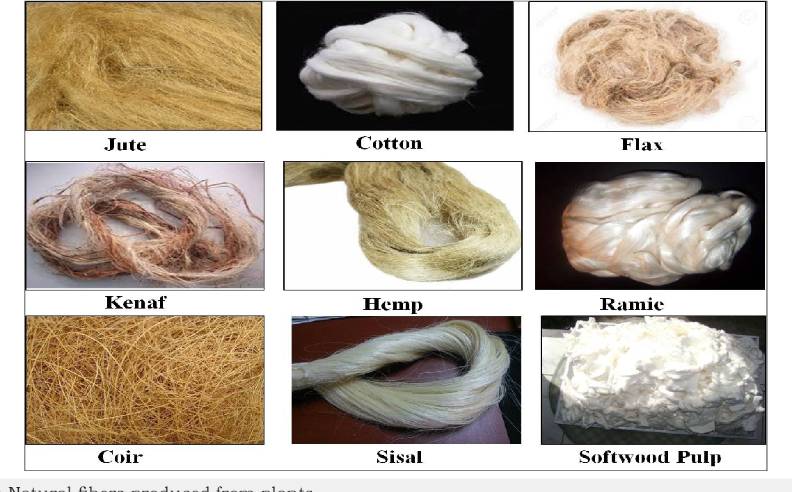 Why are natural fibers a more sustainable choice in fashion