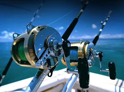 Fishing Reels Market: Global Industry Analysis and Forecast