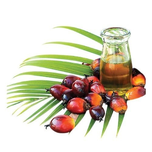 Palm Kernel Oil Manufacturing Plant Project Report: Raw Materials