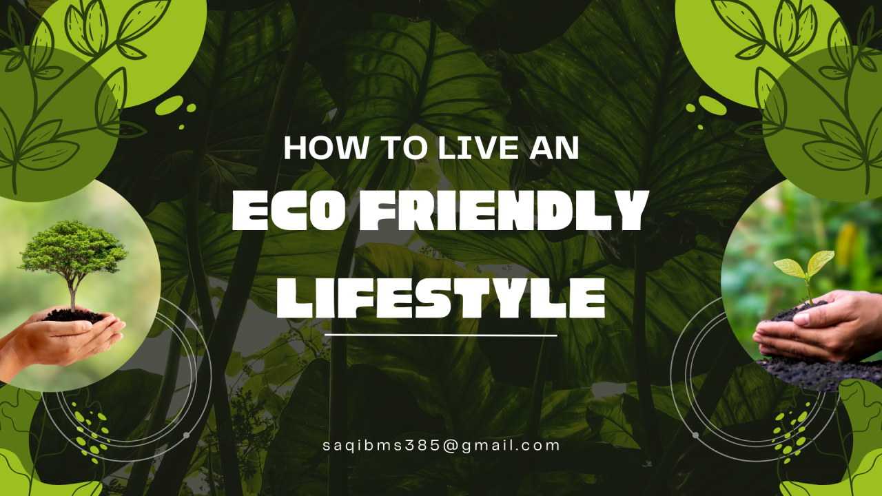 Eco Friendly Living Products, Sustainable Living