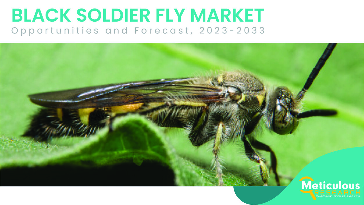 Black Soldier Fly Market