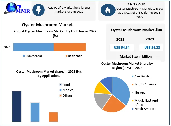 Oyster Mushroom Market Segments, Analysis, Trends, Opportunities And Strategies 2023-2029