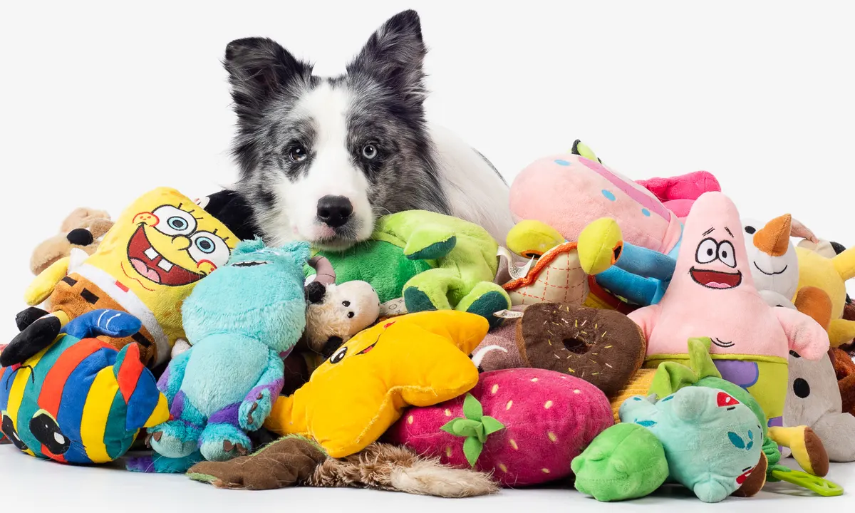 Pet Toys Market Will Hit Big Revenues