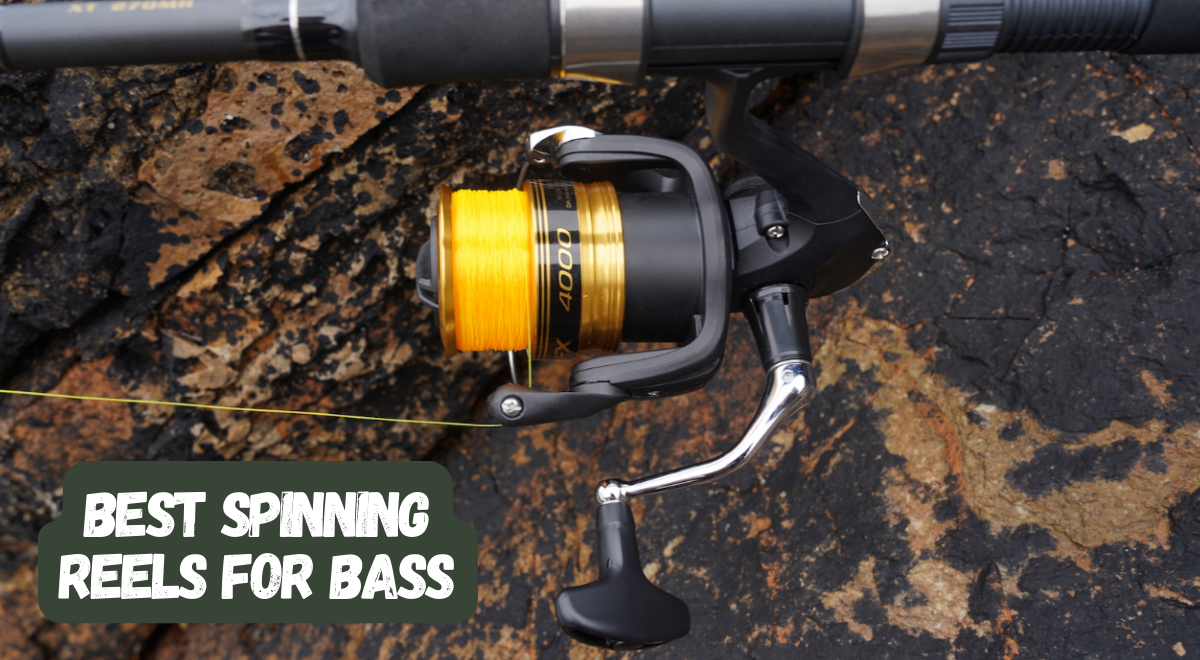 6 Best Spinning Reels for Bass🎣 — Expert Reviews and Comparisons