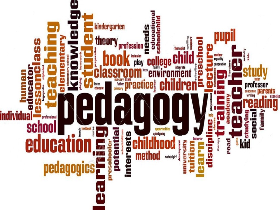 Implementation of innovative pedagogical approaches in schools