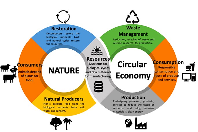 Closing Loops: Circular Economy Initiatives for Sustainable Futures