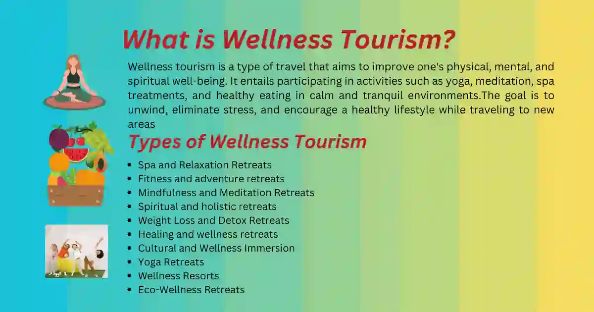 What is Wellness Tourism?