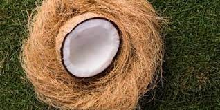 Coconut Husk Fiber for Composites? And some Other Stuff