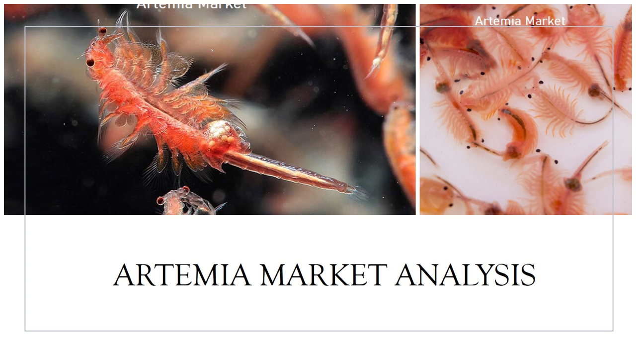 Artemia Market Size, Share, Analysis Trends, Growth Drivers, and Future Prospects 2024-2030