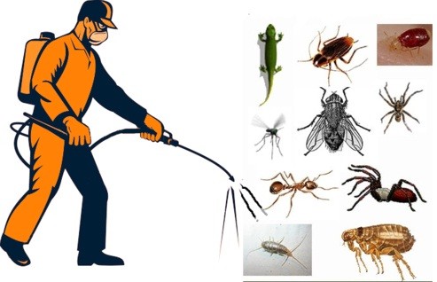 Pest Control License Registration India