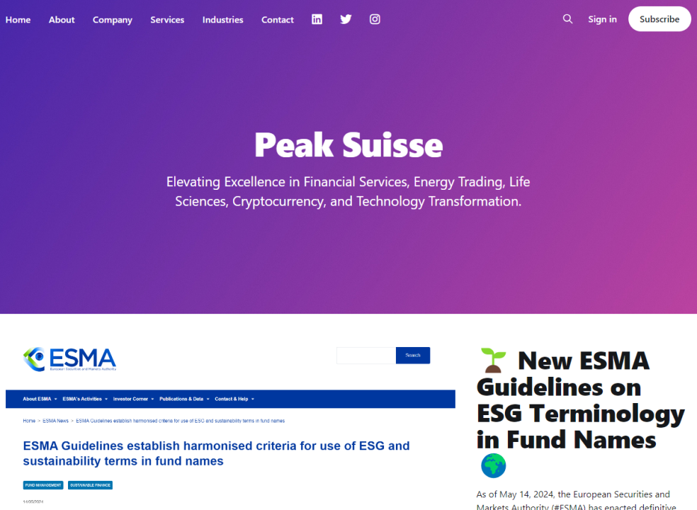 Excellency in C Level Service: Elevate Your Business with Peak Suisse Excellency in C Level Service: Elevate Your Business with Peak Suisse