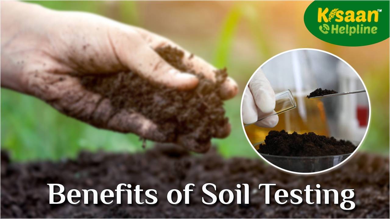 The Benefits of Having Your Soil Tested
