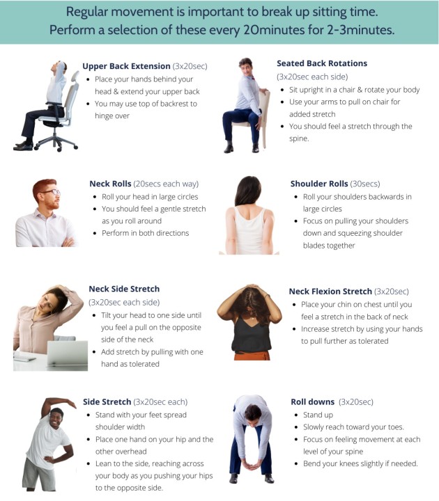Best Exercises for Office-desk exercises-office workout-desk