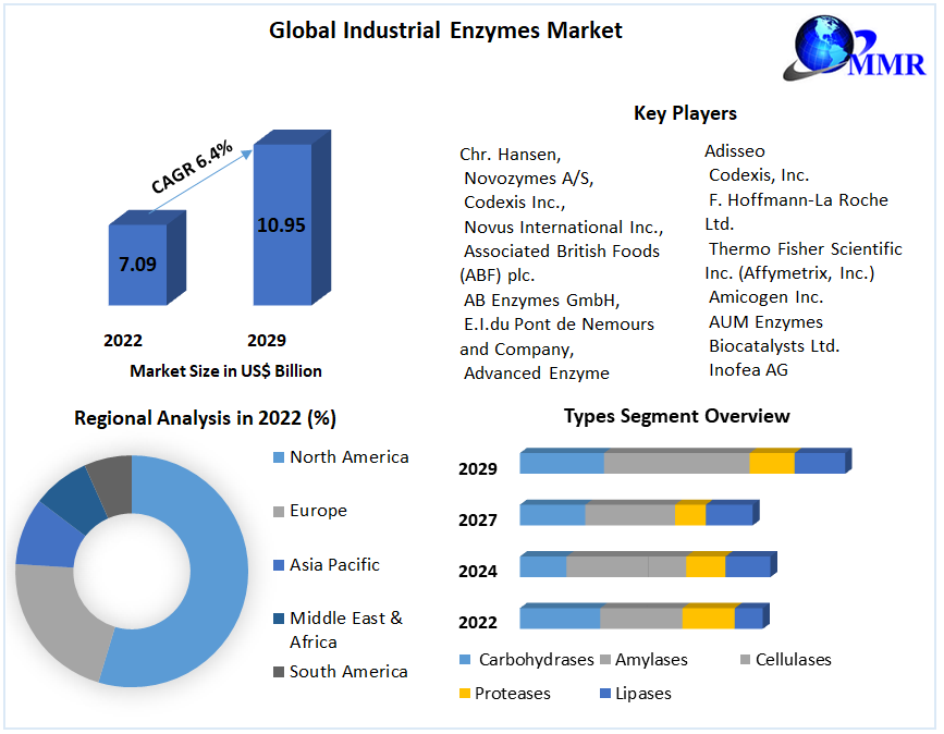Industrial Enzymes Market  are Projected To Reach USD 10.96 billion By 2029, From USD 7.09 billion in 2022